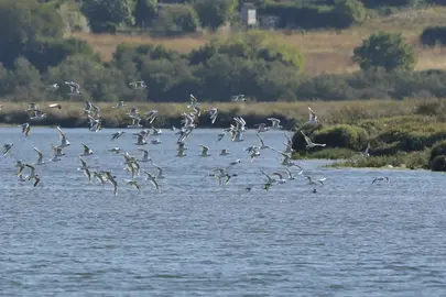 r&iacute;a de Betanzos