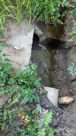 Vertido Ansimonde 1