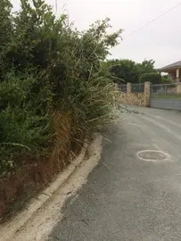 coir&oacute;s