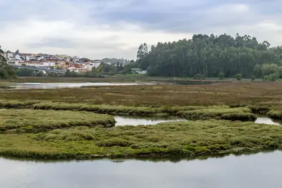 Marismas do Baxoi