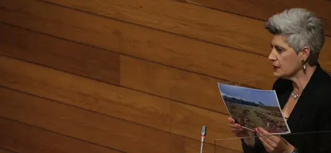 Mercedes Queixas na s&uacute;a intervenci&oacute;n no Pleno do Parlamento