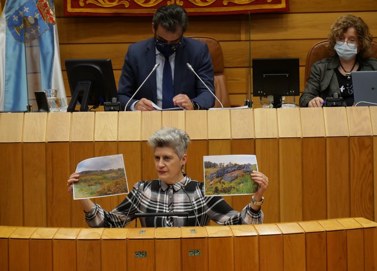 Mercedes Queixas na intervención no pleno do Parlamento
