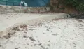 O BNG advirte que o primeiro temporal xa levou parte da area de Miño