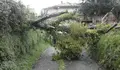 Trasladaremos aos plenos os prexuízos polo temporal