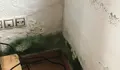 Demandamos a conservación do local social de Filgueira de Barranca