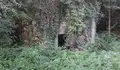 O BNG pediu ao goberno local que interveña para por en valor a capela de Santo Amaro en Figueiroa