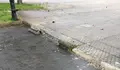 O BNG esixiu no pleno melloras en Guísamo