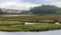 O BNG anunciou que presentará unha iniciativa no Parlamento para que se inclúan as Marismas do Baxoi na Rede Natura