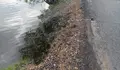 O BNG pediu ao goberno local que amañe a estrada que vai desde as comportas do encoro até Seixurra