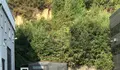 O BNG trasladou ao goberno local a súa preocupación polo retraso na limpeza das fincas municipais no polígono de Bergondo