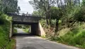 O BNG comprométese a solucionar desde o goberno o problema de seguridade viaria en Carantoña