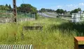 O BNG denuncia o abandono da senda ZEC en Guísamo