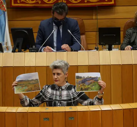 Mercedes Queixas na intervenci&oacute;n no pleno do Parlamento