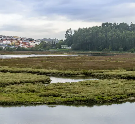 Marismas do Baxoi