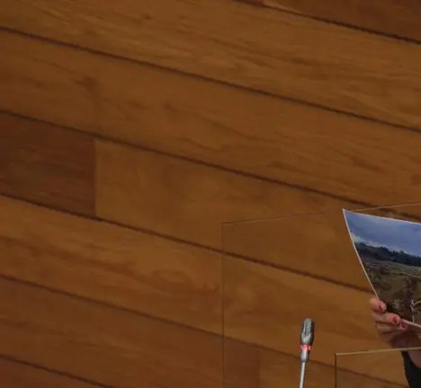 Mercedes Queixas na s&uacute;a intervenci&oacute;n no Pleno do Parlamento